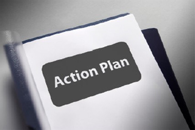 Action Plan